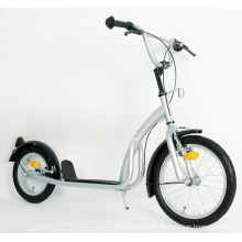 Steel Frame Foot Scooter (PB1612A)
